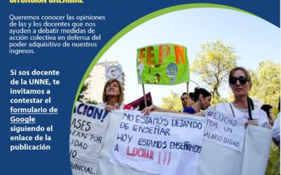 Consulta a Docentes sobre situación salarial