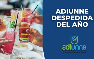 Despedida del año ADIUNNE